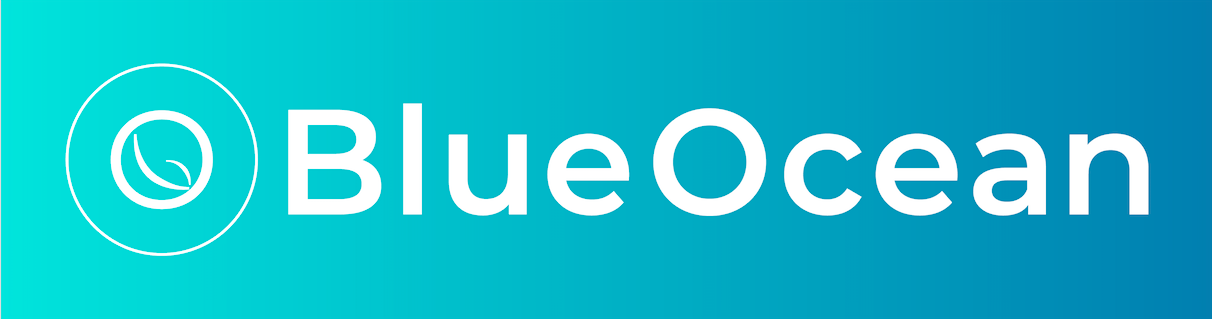 Thanks to a dedicated STO platform BlueOcean Ventures ll becomes